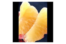 【訳あり】《中身で勝負》絶対的自信の河内晩柑（愛南ゴールド）約 10kg  発送期間：3月下旬～なくなり次第終了