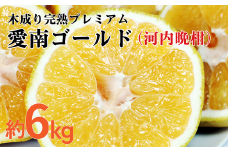 愛南ゴールド ( 河内晩柑 ) 6kg 樹齢30年 木成り 完熟プレミアム 柑橘 みかん 和製 グレープフルーツ 完熟 常温 愛南町 青果市場 愛媛県 発送: 7月下旬～ (なくなり次第終了)