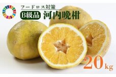【B級品】ジュース向き 訳あり 河内晩柑 20kg【 フードロス ジュース 用】（なくなり次第終了） 愛南ゴールド 搾汁 す上がり 粒化症 傷 日焼け 黒ずみ 回青 サイズ 不揃い 大容量 愛南ゴールド 吉本農園 愛南町 愛媛県 