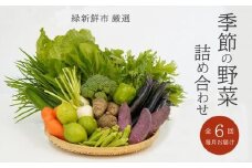 定期便 6回 季節の旬の野菜詰合せ トマト きゅうり キャベツ にんじん 大根 たまねぎ ほうれんそう 白菜 新鮮 国産 野菜 サラダ 愛媛県 愛媛 愛南町 緑新鮮市