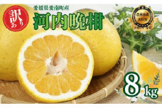 先行受付 河内晩柑 訳あり 8kg 発送 2025年 樹齢25年以上 柑橘 かんきつ 蜜柑 みかん 愛南ゴールド サイズミックス 規格外 キズ 傷 わけあり ふるさと納税 家庭用 贈答用 プレゼント らんきんぐ 期間限定 予約 愛媛県 愛南町 吉本農園