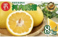 先行受付 河内晩柑 訳あり 8kg 発送 2026年 先行予約 樹齢25年以上 柑橘 かんきつ 蜜柑 みかん 愛南ゴールド サイズミックス 規格外 キズ 傷 わけあり ふるさと納税 家庭用 贈答用 プレゼント らんきんぐ 期間限定 予約 愛媛県 愛南町 吉本農園