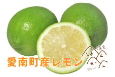 【訳あり】 グリーン レモン 10kg みため✕ おいしさ◎ サイズミックス防腐剤 ワックス 不使用 サイズミックス 発送期間:10月1日～5月10日 清家ばんかんビレッジ 愛媛県 愛南町