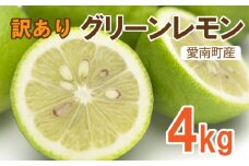 訳あり レモン（ グリーンレモン ）  4kg れもん 檸檬 フルーツ 果物 くだもの 柑橘 贈答 ギフト 防腐剤 不使用 レモンサワー レモン果汁 炭酸水 ビタミンC クエン酸 疲労 回復 ストレス 解消 免疫力 向上 大容量 国産 産直 皮ごと 丸ごと みかん 蜜柑 文旦 ポンカン ミカン ひなたのみかん 愛媛県 愛南町