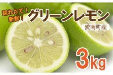 レモン ( グリーンレモン )  3kg れもん 檸檬 フルーツ 果物 くだもの 柑橘 贈答 ギフト 防腐剤 不使用 レモンサワー レモン果汁 炭酸水 ビタミンC クエン酸 疲労 回復 ストレス 解消 免疫力 向上 大容量 国産 産直 皮ごと 丸ごと みかん 蜜柑 文旦 ポンカン ミカン ひなたのみかん 愛媛県 愛南町