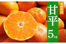 先行予約 甘平 約5kg みかん 蜜柑 オレンジ 温州みかん 愛媛みかん 果物 くだもの 果実 柑橘 果肉 果汁 フルーツ ゼリー ジュース 甘い ジューシー 高級 ブランド ギフト プレゼント 贈り物 贈答 ビタミン 美容 健康 国産 産直 特産品 フルーツアイランド マルエム直販 愛媛県 愛南町