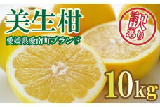 先行予約 訳あり 美生柑 みしょうかん 約10kg 河内晩柑 不揃い サイズミックス 傷あり ばんかん フルーツ 果物 くだもの 文旦 晩生柑 厳選 愛媛 みかん 蜜柑 mikan 愛南 ご当地 ブランド 国産 産地 直送 ゼリー マーマレード デザート フルーツアイランド マルエム直販 愛媛県 愛南町【お届け期間:2025年3月1日～5月下旬】  (なくなり次第終了)