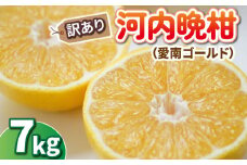先行予約 訳あり 河内晩柑 7kg みかん 蜜柑 オレンジ 温州みかん グレープフルーツ 愛南ゴールド 文旦 ポンカン デコポン 不知火 愛媛みかん レモン ブラッドオレンジ ネーブル 果物 くだもの 果実 柑橘 かんきつ mikan フルーツ 果汁 ゼリー ジュース 甘い ジューシー ビタミン 美容 健康 特産品 国産 産直 愛媛県 愛南町 ひなたのみかん
