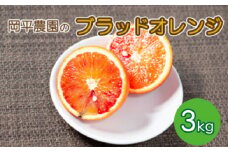 【数量限定】 正品 ブラッドオレンジ（タロッコ）3kg 岡平農園 発送:2024年4月～ 先行予約 7000円 みかん ブラッドオレンジ タロッコ モロ 3kg オレンジ 果物 フルーツ ブラッド 柑橘 みかん 国産 愛媛 愛南 産地直送 農家直送 数量限定 おいしい人気 限定 甘い 贈答用 贈答 正品 ギフト