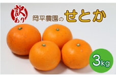 数量限定 訳あり せとか 3kg 岡平農園 フルーツ 果物 柑橘 蜜柑 愛媛県 愛南町 発送期間: 2月下旬～3月下旬 せとか ゼリー ぷるぷる 訳あり 高級 みかん スマイルカット 愛媛県産 貴重 期間限定 人気 愛南町 限定 ジューシー 数量限定 甘い フルーツ 先行予約 果物 フルーツ 柑橘 みかん 国産 愛媛 愛南 産地直送 農家直送 数量限定 おいしい  限定 甘い
