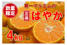 数量限定 先行予約 早香 はやか 秀品 4kg 柑橘 フルーツ 第一マルエム 愛媛みかん ポンカン 文旦 河内晩柑 温州みかん ブラッド オレンジ ネーブル せとか なつみ 蜜柑 みかん 檸檬 果物 果実 ジューシー 甘い 愛媛県 愛南町