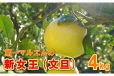 【 数量限定 】 秀品 贈答用 文旦 新女王 4kg 7000円 先行 事前 予約 受付 みかん ぶんたん 愛南ゴールド 河内晩柑 かわちばんかん 美生柑 文旦 グレープフルーツ 愛南 愛媛 マーマレード 産地直送 国産 農家直送 果樹園 期間 限定 特産品 熟成 ギフト ジュース 人気 新鮮 果実 さわやか 甘い フルーツ 果物 柑橘 蜜柑 第一マルエム青果