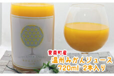 数量限定 訳あり 愛南町産 温州みかんジュース 720ml 2本 果汁 100% 贈答 ギフト 温州 みかん ジュース 濃い 甘い 柑橘 かんきつ 愛媛 みかん 蜜柑 国産 うさぎ堂 愛媛 愛南