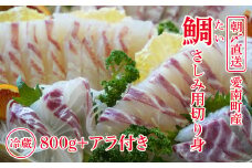 朝〆直送！愛南町産鯛さしみ用切り身（800g＋アラ付き）真鯛 朝〆 直送 新鮮 アラ 冷蔵 愛媛県 朝〆直送 皮引き 三枚おろし 兜 かぶと煮 国産 魚介 特産品 愛南町 魚介類 海産物 鮮魚 養殖 産地直送 海鮮 ブランド まだい 鯛 刺身 塩焼き 煮付け 酒蒸し カルパッチョ 鯛飯 鯛しゃぶ 鯛めし 鯛茶漬け 鯛漬け お正月 お祝い 年末 年始 紅白 めでたい 真空 パック あら炊き カマ 柵