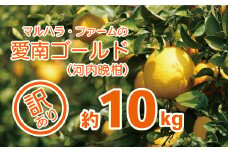 【 先行予約 】 マルハラファーム 訳あり 河内晩柑 10kg （発送期間: 4月中旬～8月下旬） 事前 予約 受付 みかん かわちばんかん 愛南ゴールド 文旦 グレープフルーツ 和製 10000円 家庭用 おいしい 糖度 愛媛 産地直送 国産 農家直送 果樹園 期間限定 数量限定 特産品 ジュース 人気 限定 愛南 愛媛県 新鮮 果実 さわやか 風味 甘い フルーツ 果物 柑橘 マルハラファーム