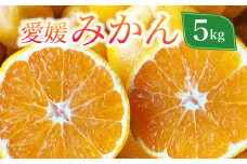 愛媛みかん 5kg 温州 みかん 蜜柑 柑橘 果物 フルーツ 早生 人気 甘い ビタミン 健康 美容 美味しい 愛媛 愛南 発送期間: 2023年11月1日～2024年1月中旬(なくなり次第終了)