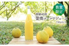 樹齢40年 愛南ゴールドジュース 720ml × 2本 河内晩柑 愛南ゴールド 焼酎 蒸留酒 果汁 無添加 ジュース 贈答 ギフト プレゼント 河内晩柑 ばんかん 柑橘 かんきつ 果汁 100% 愛媛 みかん 蜜柑 ゼリー 寒天 母の日 敬老の日 お歳暮 お中元 国産 愛南町青果市場