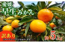 訳あり 愛媛みかん 早生みかん 5kg 早生みかん 蜜柑 みかん 温州みかん 早生 愛媛みかん オレンジ 果物 フルーツ 柑橘 人気 サイズ 不揃い サイズミックス 愛媛県 愛南町青果市場 発送期間：2024年11月初旬～11月末(なくなり次第終了)
