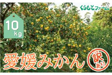 訳あり 愛媛みかん 10kg 13000円 温州みかん こたつ みかん 温州 みかん mikan 蜜柑 愛媛 ミカン 完熟 家庭用 産地直送 国産 農家直送 糖度 期間限定 数量限定 特産品 ゼリー ジュース アイス 人気 限定 甘い 果実 果肉 フルーツ 果物 柑橘 先行 事前 予約 受付 ビタミン 健康 美味しい おいしい ジューシー サイズ ミックス くらもとファーム 愛南町 愛媛県