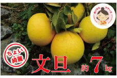 【 先行予約 】 ちょいキレ 家庭用 あいなんマザーズ の 文旦 7kg <発送期間：2月中旬～4月上旬> 家庭用 7kg 先行 事前 予約 受付 みかん 文旦 愛媛 産地直送 国産 農家直送 減農薬 果肉 歯ごたえ 果樹園 期間限定 数量限定 特産品 ジュース 人気 限定 愛南 愛媛県 新鮮 果実 さわやか 風味 甘い 上品 フルーツ 果物 柑橘 あいなんマザーズ 