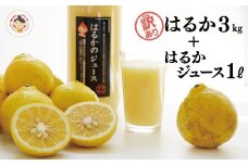 【 訳あり 】先行予約 あいなんマザーズ の 完熟 はるか 3kg ＋ はるか ジュース 1本 セット 訳あり 3kg 1L みかん 先行 事前 予約 はるか 愛媛 産地直送 国産 農家直送 減農薬 完熟 香り 糖度 濃厚 果樹園 期間限定 数量限定 特産品 ネクター ストレートジュース 100% 人気 限定 愛南 愛媛県 新鮮 果実 さわやか ジューシー 甘い 上品 フルーツ 果物 柑橘 セット