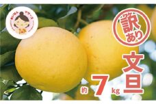 先行予約 訳あり 文旦 7kg （ Lサイズ 以上 ） 7000円 ぶんたん みかん mikan 蜜柑 ミカン 家庭用 産地直送 国産 農家直送 減農薬 糖度 期間限定 数量限定 特産品 ゼリー ジュース アイス 人気 限定 甘い 果実 果肉 フルーツ 果物 柑橘 先行 事前 予約 受付 ビタミン 健康 美味しい おいしい ジューシー サイズ ミックス あいなんマザーズ 愛南町 愛媛県