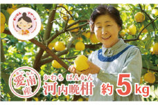 【 先行予約 】 あいなんマザーズ の 河内晩柑 5kg <発送期間：4月中旬～7月上旬> 贈答用 5kg 正品 減農薬 先行 事前 予約 受付 みかん 河内晩柑 かわちばんかん 愛南ゴールド 文旦 グレープフルーツ 和製 おいしい 愛媛 産地直送 国産 農家直送 果樹園 期間限定 数量限定 特産品 ジュース 人気 贈答 限定 愛南 愛媛県 新鮮 果実 さわやか 風味 甘い フルーツ 果物 柑橘