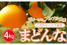 こだわりハウス栽培　まどんな（愛果28号）4kg みかん 蜜柑 果物 フルーツ 高級 人気 紅まどんな 期間限定 数量限定 オレンジ 配送期間：2023年12月上旬～(なくなり次第終了)