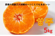 先行予約 甘平5kg 精品 家庭用 みかん 蜜柑 甘平 ポンカン 高級 紅まどんな せとか 人気 ブランド 柑橘 果物 フルーツ ギフト 贈り物 プレゼント 中山農園 愛媛県 愛南町 発送期間: 2025年2月1日～3月上旬(なくなり次第終了)