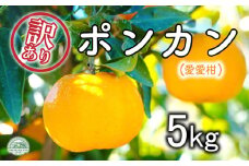 先行予約 訳あり ポンカン 約5kg 愛愛柑  みかん 蜜柑 オレンジ 温州みかん 文旦 河内晩柑 デコポン 不知火 せとか 紅まどんな なつみ はるか レモン ブラッドオレンジ ネーブル 果物 くだもの 果実 柑橘 フルーツ ゼリー ジュース 甘い ジューシー ビタミン 美容 健康 ブランド 国産 産直 糖度 愛媛県 愛南町
