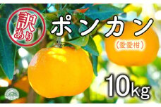 先行予約 訳あり ポンカン 約10kg 愛愛柑  みかん 蜜柑 オレンジ 温州みかん 文旦 河内晩柑 デコポン 不知火 せとか 紅まどんな なつみ はるか レモン ブラッドオレンジ ネーブル 果物 くだもの 果実 柑橘 フルーツ ゼリー ジュース 甘い ジューシー ビタミン 美容 健康 ブランド 国産 産直 糖度 愛媛県 愛南町