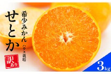 先行予約 訳あり せとか 3kg ハウス栽培  みかん 蜜柑  高級 人気 ブランド  減農薬  柑橘 果物 フルーツ ギフト 贈答 プレゼント 発送:2025年2月初旬～(なくなり次第終了) 豊田農園