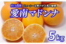 愛南マドンナ 5kg 精品 家庭用 まどんな 紅まどんな 愛果28号 みかん 蜜柑 甘平 せとか 高級 人気 ブランド 柑橘 果物 フルーツ ビタミン ギフト プレゼント 贈り物 美容 健康 国産 愛媛 愛南町 山口農園 発送期間: 2023年12月初旬～