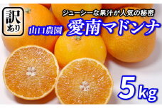 【訳あり】 愛南マドンナ 5kg まどんな 紅まどんな 愛果28号 みかん 蜜柑 甘平 せとか 高級 人気 ブランド 柑橘 果物 フルーツ ビタミン 美容 健康 国産 愛媛 愛南町 山口農園 発送期間: 2023年12月初旬～