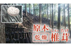 【 先行予約 】 原木 乾燥 椎茸 （ 3袋 ＋ スライス １袋 ）出荷期間：2023年11月下旬～ 農林水産大臣賞 どんこ 7000円 干し椎茸 原木 原木椎茸 原木栽培 乾燥 栽培 シイタケ栽培 干し 椎茸 しいたけ 農林水産大臣 共進会 スライス 薄切り 愛媛 愛南 産地直送 国産 農家直送 なんぐん市場 数量限定 なんぐん 市場 限定 NPO 法人 ハート スープ カレー パテ うす切り