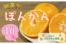 【 訳あり 】 ぽんかん 10kg 先行予約 <発送期間：1月中旬～無くなり次第終了> 八百みかん農園 の ぽんかん 10000円 家庭用 10kg 先行 事前 予約 受付 みかん 不知火 はるみ 防腐剤不使用 愛媛 産地直送 国産 農家直送 糖度 甘味 果樹園 期間限定 数量限定 特産品 ジュース 人気 限定 愛南  新鮮 果実 さわやか 風味 甘い フルーツ 果物 柑橘 蜜柑