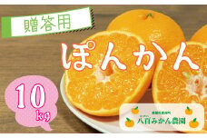 【 贈答用 】 ぽんかん 10kg 先行予約 <発送期間：1月中旬～無くなり次第終了> 八百みかん農園 の ぽんかん 15000円 家庭用 10kg 先行 事前 予約 受付 みかん 不知火 はるみ 防腐剤不使用 愛媛 産地直送 国産 農家直送 糖度 甘味 果樹園 期間限定 数量限定 特産品 プレゼント 人気 限定 愛南 正品 果実 ギフト 風味 甘い フルーツ 果物 柑橘 蜜柑