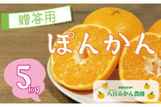 【 贈答用 】 ぽんかん 5kg 先行予約 <発送期間：1月中旬～無くなり次第終了> 八百みかん農園 の ぽんかん 8000円 家庭用 5kg 先行 事前 予約 受付 みかん 不知火 はるみ 防腐剤不使用 愛媛 産地直送 国産 農家直送 糖度 甘味 果樹園 期間限定 数量限定 特産品 プレゼント 人気 限定 愛南 正品 果実 ギフト 風味 甘い フルーツ 果物 柑橘 蜜柑