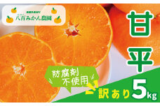 【 訳あり 】 甘平 5kg 先行予約 <発送期間：2月上旬～無くなり次第終了> 八百みかん農園 の 甘平 10000円 高級 ブランド 家庭用 5kg 先行 事前 予約 受付 みかん まどんな せとか ぽんかん 防腐剤不使用 愛媛 産地直送 国産 農家直送 糖度 甘味 果樹園 期間限定 数量限定 特産品 ジュース 人気 限定 愛南  新鮮 果実 ぎっしり 風味 甘い フルーツ 果物 柑橘 蜜柑