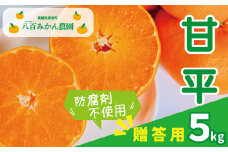 【 贈答用 】 甘平 5kg 先行予約 <発送期間：2月上旬～無くなり次第終了> 八百みかん農園 の 甘平 15000円 高級 ブランド 家庭用 5kg 先行 事前 予約 受付 みかん まどんな せとか ぽんかん 防腐剤不使用 愛媛 産地直送 国産 農家直送 糖度 甘味 果樹園 期間限定 数量限定 特産品 ジュース 人気 限定 愛南  新鮮 果実 ぎっしり 風味 甘い フルーツ 果物 柑橘 蜜柑