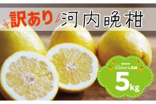 【 訳あり 】 河内晩柑 5kg 先行予約 <発送期間：4月上旬～無くなり次第終了> 八百みかん農園 の かわちばんかん 7000円 家庭用 5kg 先行 事前 予約 受付 みかん 愛南ゴールド 美生柑 文旦 グレープフルーツ 和製 防腐剤不使用 愛媛 産地直送 国産 農家直送 糖度 果樹園 期間限定 数量限定 特産品 ジュース 人気 限定 愛南  新鮮 さわやか 甘い フルーツ 果物 柑橘 蜜柑