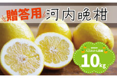 【 贈答用 】 河内晩柑 10kg 先行予約 <発送期間：4月上旬～無くなり次第終了> 八百みかん農園 の かわちばんかん 15000円 家庭用 先行 事前 予約 受付 みかん 愛南ゴールド 美生柑 文旦 グレープフルーツ 和製 防腐剤不使用 ギフト 愛媛 産地直送 国産 農家直送 糖度 果樹園 期間限定 数量限定 特産品 ジュース 人気 限定 愛南  さわやか 甘い フルーツ 果物 柑橘 蜜柑