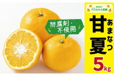 【 先行予約 】 贈答用 完熟 甘夏 5kg <発送期間：4月下旬～無くなり次第終了> 八百みかん農園 の 完熟 甘夏 7000円 贈答 先行 事前 予約 受付 ギフト みかん あまなつ 夏みかん グレープフルーツ 防腐剤不使用 愛媛 産地直送 国産 農家直送 糖度 果樹園 期間限定 数量限定 特産品 ジュース 人気 限定 愛南 さわやか 甘い フルーツ 果物 柑橘 蜜柑