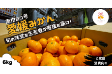 先行予約 訳あり 愛媛みかん 南柑20号 6kg  7000円 みかん こたつ 冬 蜜柑 果物 柑橘 かんきつ フルーツ 傷 不揃い ゼリー ジュース アイス 果実 果肉 くだもの ビタミンC 健康 美容 産地 農園 直送 国産 期間限定 数量限定 エニシトラス 愛媛県 愛南町 発送期間: 2024年12月上旬～12月末(なくなり次第終了)