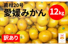 訳あり 愛媛みかん 南柑20号 12kg  みかん 蜜柑 果物 柑橘 フルーツ 傷 不揃い ゼリー ジュース ビタミンC 健康 美容 農園 直送 エニシトラス 愛媛県 愛南町 発送期間: 2024年12月上旬～12月末日(なくなり次第終了)