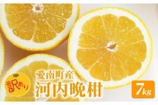 【 先行予約 】 訳あり 河内晩柑 7kg 送料無料 わけあり ワケアリ 不揃い 愛媛 愛南町産 愛南ゴールド 和製 グレープフルーツ みかん 蜜柑 柑橘 柑橘類 フルーツ 果物 くだもの 食品 食べ物 お取り寄せ グルメ 家庭用 ジューシーフルーツ 美生柑 生食 ジュース ゼリー ジャム スムージー ビタミンC 旬 愛媛県 愛南町 山口農園