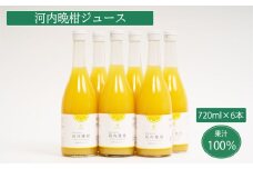 無添加 果汁100% 河内晩柑ジュース 720ml×6本入 河内晩柑 愛南ゴールド みかんジュース ジュース みかん 蜜柑 グレープフルーツ オレンジ 果物 柑橘 フルーツ ゼリー アイス  発送: 5月15日～11月30日 順次発送