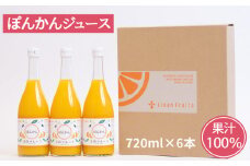 無添加 果汁100% ぽんかんジュース 720ml×6本入 ぽんかん ポンカン みかんジュース ジュース みかん 蜜柑 果物 柑橘 フルーツ ゼリー アイス 発送: 5月15日～11月30日 順次発送