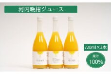 無添加 果汁100% 河内晩柑ジュース 720ml×3本入 河内晩柑 愛南ゴールド みかんジュース ジュース みかん 蜜柑 グレープフルーツ オレンジ 果物 柑橘 フルーツ ゼリー アイス    発送: 5月15日～11月30日 順次発送