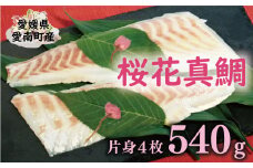 桜花 真鯛 切り身 4柵 合計 540g （ 270g ×2 パック ） 朝〆 まだい 鯛 愛南町 新鮮 冷凍 愛媛県 神経締め 皮引き 三枚おろし 国産 魚介 特産品 魚介類 海産物 鮮魚 養殖 産地直送 海鮮 ブランド 刺身 海鮮丼 塩焼き 煮付け 酒蒸し カルパッチョ 鯛飯 鯛しゃぶ 鯛めし 鯛茶漬け 鯛漬け お正月 お祝い 年末 年始 紅白 めでたい 真空 パック 柵 愛南サン・フィッシュ